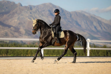 LeMieux Pear Essence Dressage Square Pear| Online For Equine