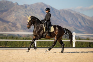 LeMieux Pear Essence Dressage Square Pear| Online For Equine
