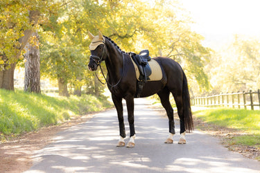 LeMieux Pear Essence Dressage Square Pear| Online For Equine