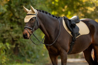 LeMieux Pear Essence Fly Hood Pear| Online For Equine