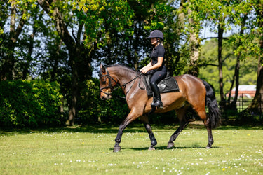 LeMieux Pillow Pad Black| Online For Equine