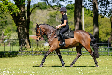 LeMieux Pillow Pad Black| Online For Equine