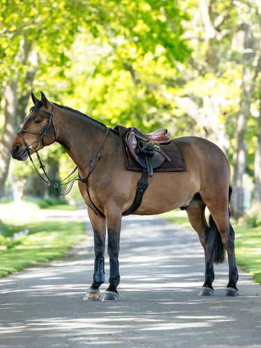 LeMieux Pillow Pad Brown| Online For Equine