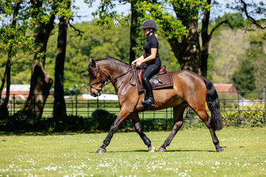 LeMieux Pillow Pad Brown| Online For Equine