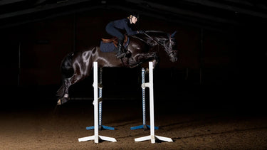 LeMieux ProForm Moulded Close Contact Pad Navy| Online For Equine