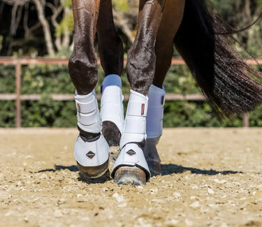 Buy LeMieux ProShell Brushing Boots| Online for Equine