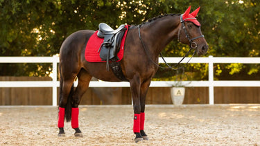 LeMieux ProSport Chilli Red Suede Dressage Square| Online For Equine