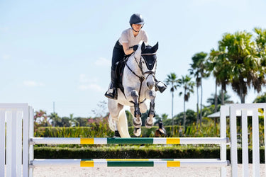 LeMieux Puissance Fly Hood Navy| Online For Equine