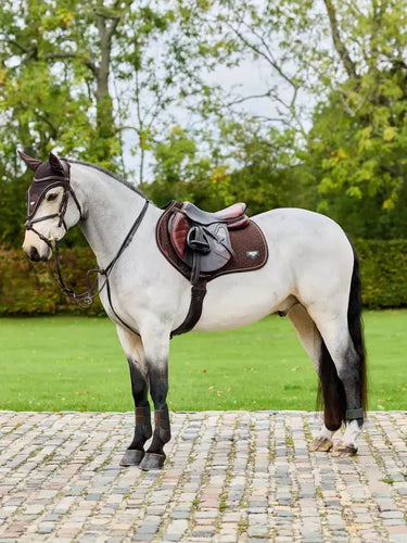 LeMieux Puissance Suede Close Contact Square Brown| Online For Equine