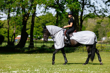 Buy LeMieux Ride On Fly Rug Grey | Online for Equine