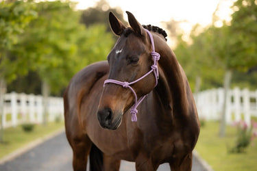 LeMieux Rope Halter Fondant| Online For Equine