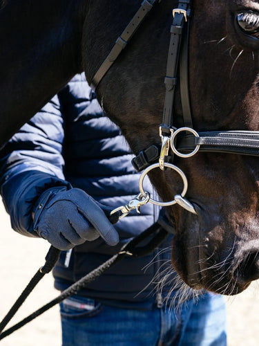 LeMieux Rope Lunging Aid Black| Online For Equine