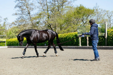 LeMieux Rope Lunging Aid Black| Online For Equine