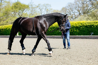 LeMieux Rope Lunging Aid Black| Online For Equine
