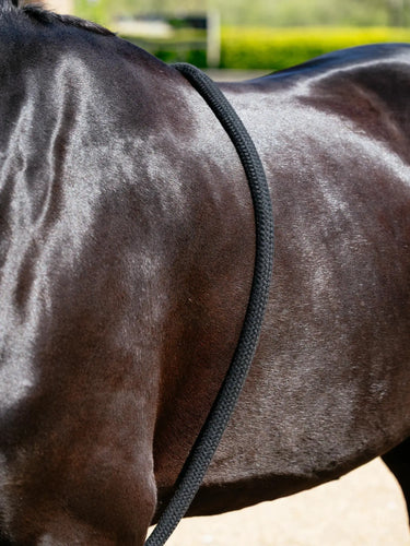 LeMieux Rope Lunging Aid Black| Online For Equine