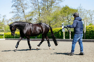 LeMieux Rope Lunging Aid Black| Online For Equine