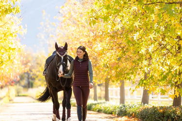 LeMieux Rose Hooded Puffer Gilet Damson| Online For Equine