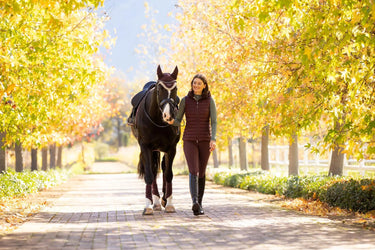 LeMieux Rose Hooded Puffer Gilet Damson| Online For Equine