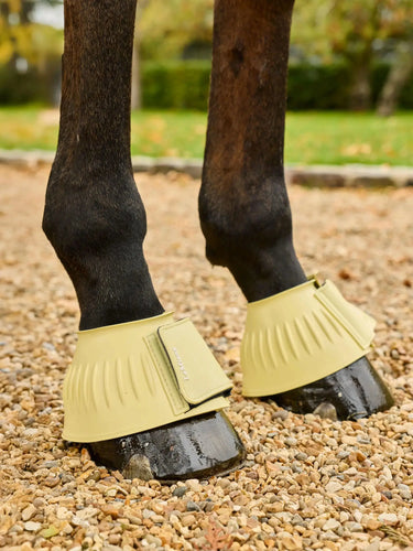 LeMieux Rubber Bell Boots Lemonade| Online For Equine