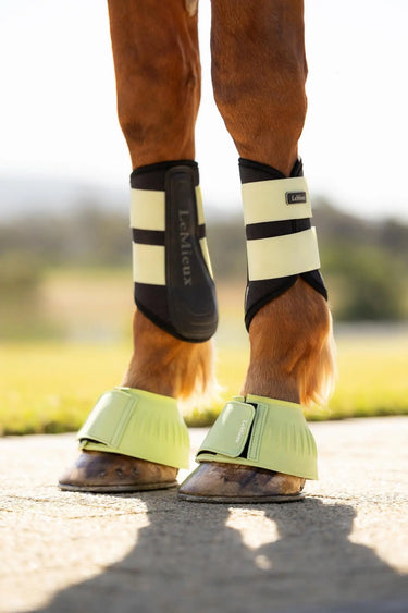 LeMieux Rubber Bell Boots Macaron| Online For Equine