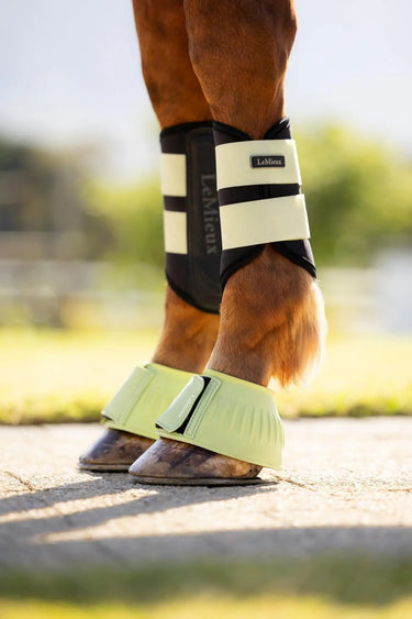 LeMieux Rubber Bell Boots Macaron| Online For Equine