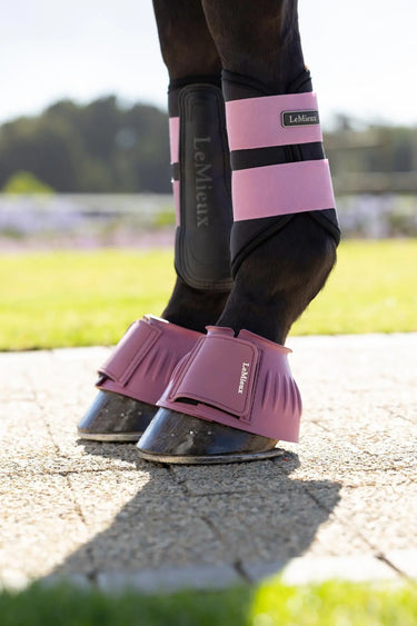 LeMieux Rubber Bell Boots Mallow| Online For Equine