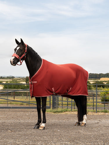 LeMieux Russet Arika Jersey-Tek Russet| Online For Equine