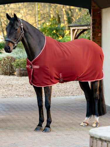 LeMieux Russet Arika Jersey-Tek Russet| Online For Equine