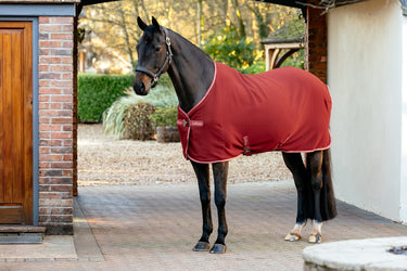 LeMieux Russet Arika Jersey-Tek Russet| Online For Equine