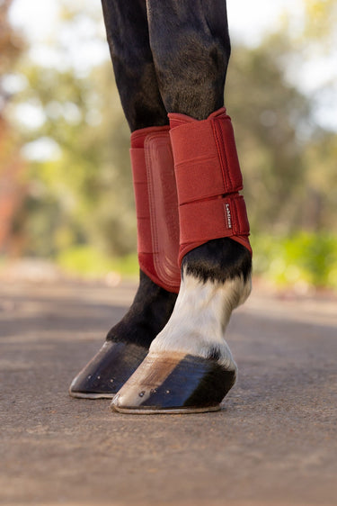 LeMieux Russet Arika Mesh Brushing Boots Russet| Online For Equine
