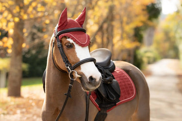 LeMieux Russet Classic Fly Hood| Online For Equine