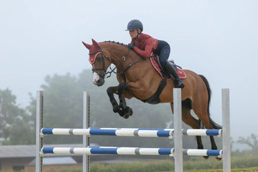 LeMieux Russet Loire Classic Close Contact Square| Online For Equine