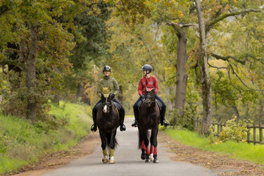 LeMieux Russet Loire Classic Dressage Square| Online For Equine