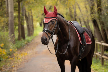 LeMieux Russet Loire Fly Hood Russet| Online For Equine