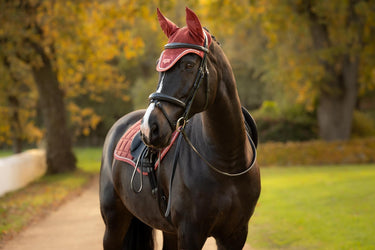 LeMieux Russet Loire Fly Hood Russet| Online For Equine