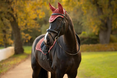 LeMieux Russet Loire Fly Hood Russet| Online For Equine