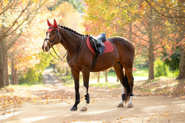 LeMieux Russet Suede Close Contact Square| Online For Equine