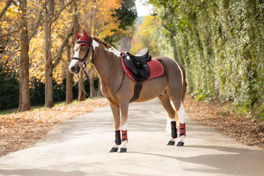 LeMieux Russet Suede Close Contact Square| Online For Equine
