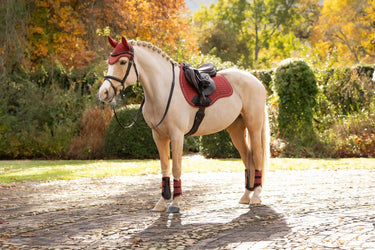 LeMieux Russet Suede GP Square| Online For Equine