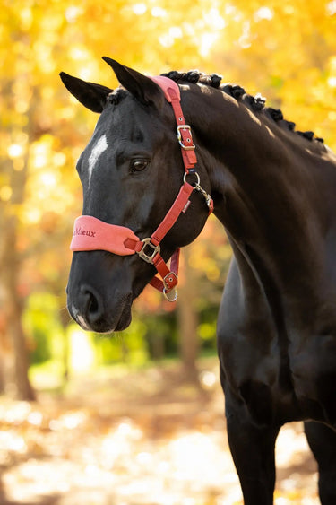 LeMieux Russet Vogue Headcollar & Leadrope| Online For Equine
