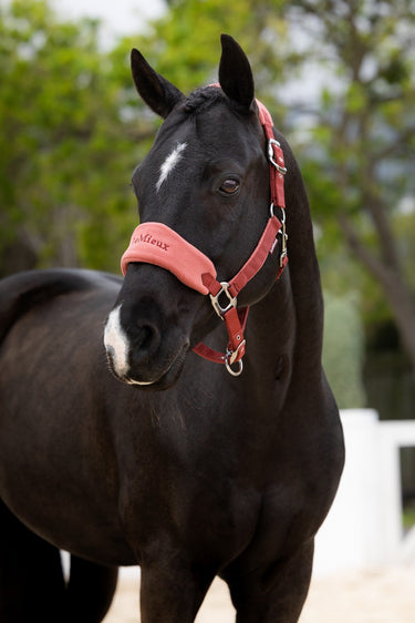 LeMieux Russet Vogue Headcollar & Leadrope| Online For Equine