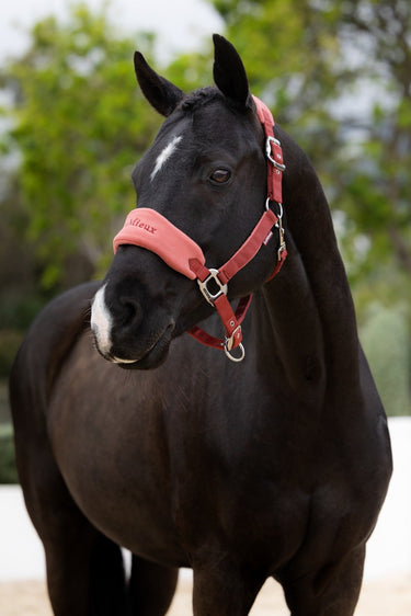 LeMieux Russet Vogue Headcollar & Leadrope| Online For Equine
