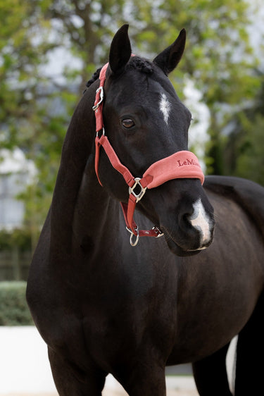 LeMieux Russet Vogue Headcollar & Leadrope| Online For Equine