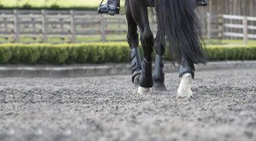LeMieux Schooling Boots Black| Online For Equine