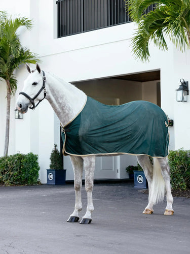 LeMieux Scrim Green| Online For Equine