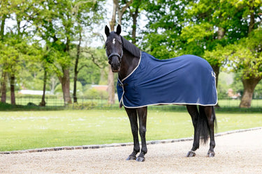 LeMieux Scrim Navy| Online For Equine