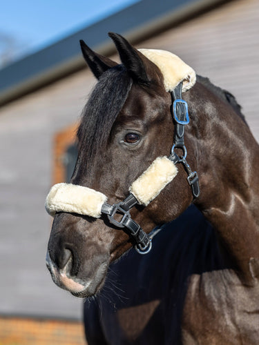 Buy LeMieux Simuwool Headcollar Set| Online for Equine