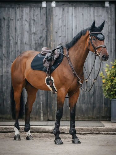 LeMieux Soft Shell Anti Slip Close Contact Square Black| Online For Equine