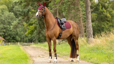 LeMieux Soft Shell Anti Slip Close Contact Square Burgundy| Online For Equine