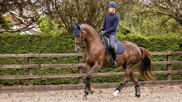 LeMieux Soft Shell Anti Slip Dressage Square Navy| Online For Equine